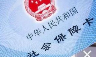 社保已缴费怎么查询 社保缴费怎么查询缴费记录