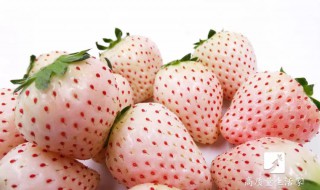 转基因产品什么叫转基因（转基因产品什么叫转基因食品）