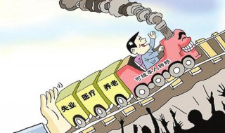 社会性保险是什么（社会性保险是什么保险）