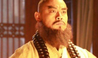 鲁达是鲁智深的什么人（鲁达是鲁智深嘛）