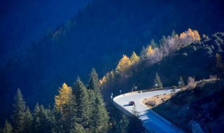 森林防火的重点防火期（森林防火紧要期）