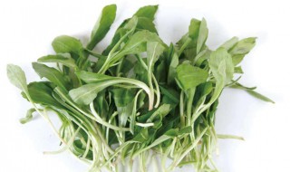 什么是马兰头 什么是马兰头菜