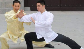 24式太极拳第二组动作名称是 24式简化太极拳第21个动作名称是