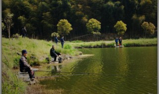 钓鱼证在什么部门办理（在哪个部门办理钓鱼证）