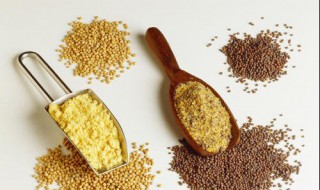 角粉有什么好处（角粉有什么好处和作用）