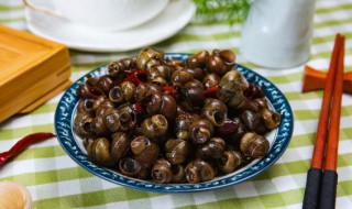 田螺鸡煲做法(田螺鸡煲汤的做法大全)