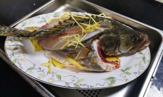 清蒸开背鱼的正确做法 清蒸开背鱼怎样做