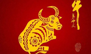 牛年发给领导祝福语 牛年发给领导祝福语大全