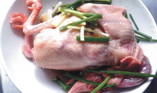 清蒸乳鸽怎么做好吃（清蒸乳鸽怎么做好吃又营养）