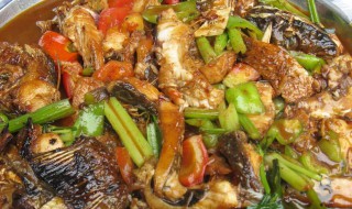 阳朔啤酒鱼怎么做好吃 阳朔啤酒鱼怎么做好吃又简单