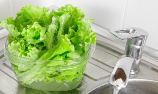 蚝油生菜怎么做好吃（蚝油生菜怎么做好吃简单）