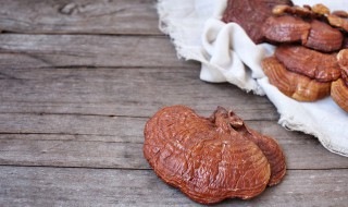 灵芝红枣鸡汤怎么做（灵芝红枣炖鸡汤的功效）