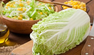糖醋白菜怎么做好吃（糖醋白菜的做法最正宗的做法）