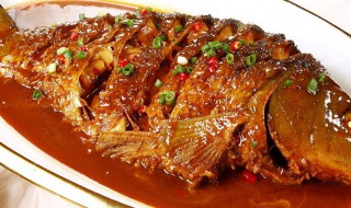 家常红烧鲤鱼怎么做好吃（鲤鱼怎么做好吃 家常 红烧）