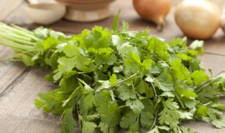 香菜酱怎么做好吃（酱香菜的做法大全窍门）