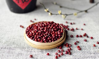 赤豆牛肉汤怎么做（赤小豆牛肉汤）