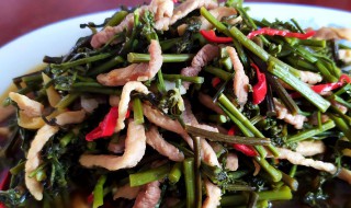 蕨菜炒肉怎么做 蕨菜炒肉怎么做好吃