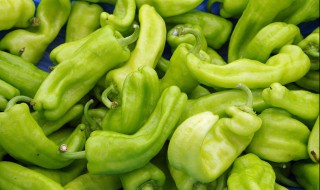 蚝油青椒牛肉怎么做 蚝油青椒牛肉怎么做的