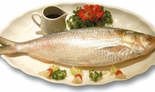 鲥鱼的家常做法 鲥鱼的好吃做法