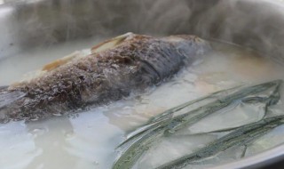 豆浆鲫鱼汤怎么做 豆浆鲫鱼汤做法