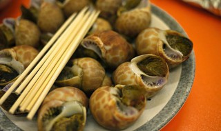 香酸烫凤螺怎么做 凤螺的做法