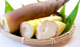 芦笋鲍片烧竹荪怎么做（芦笋鲍片烧竹荪怎么做好吃）