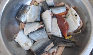 大的青鱼怎么腌制好吃 青鱼怎么腌制才好吃