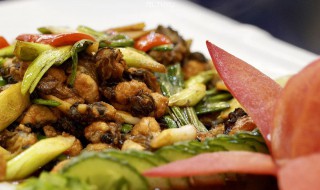 沙茶羊肉炒空心菜怎么做（沙茶羊肉炒空心菜怎么做才好吃）