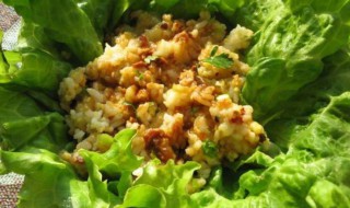 懒人饭包的做法 懒人饭饭的做法大全集