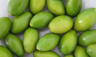 檀香橄榄的功效与作用 檀香橄榄的营养价值