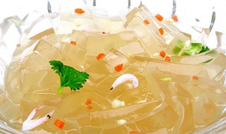 凉粉果的功效与作用 凉粉果的功效与作用是什么