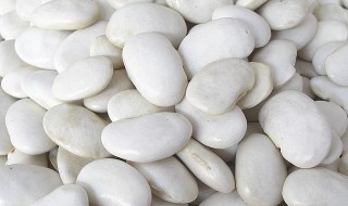 雪豆的功效与作用（雪豆的功效与作用及营养价值）