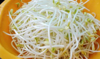 黄豆芽炒牛肉丝怎么做 黄豆芽炒牛肉丝怎么做才好吃