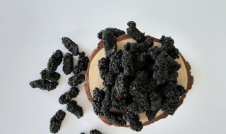 桑葚干泡酒的功效与作用 桑葚干泡酒的功效与作用以及做法