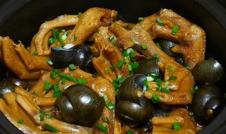 海参鸭掌煲怎么做（海参鸭掌煲的做法大全集）