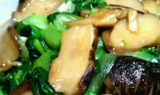 花菇油菜蕈泡菜怎么做（花菇油菜蕈泡菜怎么做才好吃）