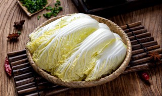 奶油炖翡翠娃娃菜怎么做（奶油炖翡翠娃娃菜怎么做的）