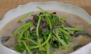 南乳苋菜怎么做(南乳苋菜怎么做好吃)