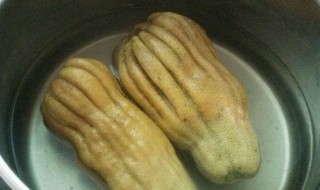 佛手冰糖炖怎么做（佛手冰糖炖怎么做才好吃）