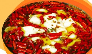 蜀国水煮鱼怎么做（巴蜀水煮鱼）