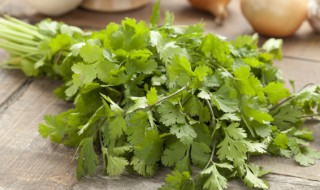 百叶香菜丝怎么做（百叶香菜如何制作）