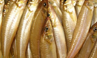 蜜汁柳叶鱼怎么做 蜜汁鱼的做法