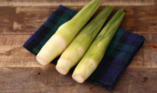 茭白笋绞肉怎么做（茭白笋的做法窍门）