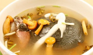 清炖马蹄鳖怎么做（清炖马蹄鳖怎么做好吃）