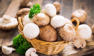 泡椒炒口蘑怎么做（泡椒炒蘑菇的做法）