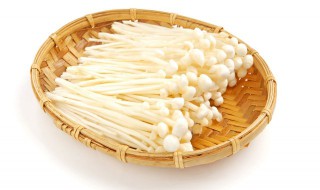 芦蒿炒金针菇的做法（芦蒿炒金针菇的做法大全）