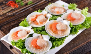 扇贝黄瓜怎么做(扇贝黄瓜做法大全家常)