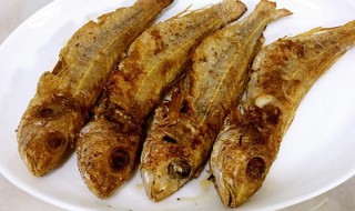 干煎红衫鱼怎么做 干煎红衫鱼怎么做才好吃