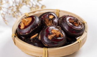 白菜马蹄猪骨汤怎么做（白菜马蹄猪骨汤怎么做才好吃）