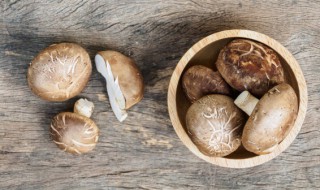 香菇发菜虾仁汤怎么做 香菇发菜虾仁汤怎么做好喝